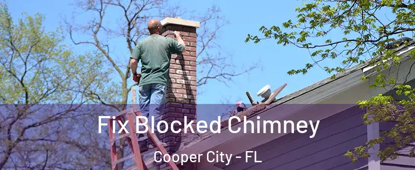  Fix Blocked Chimney Cooper City - FL