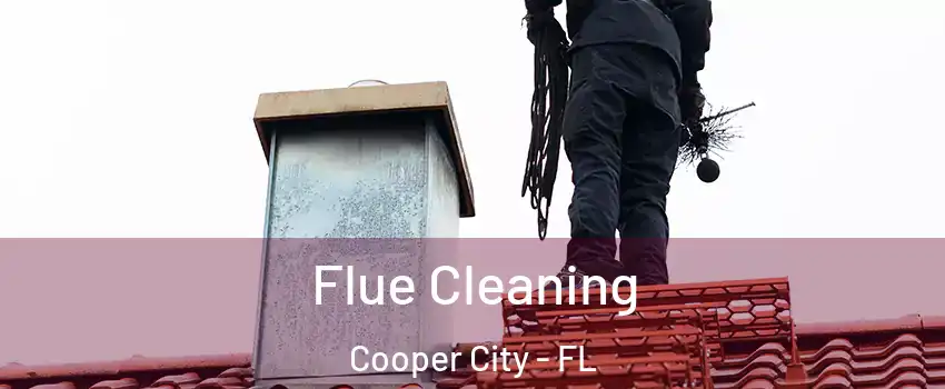  Flue Cleaning Cooper City - FL