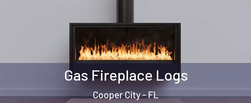  Gas Fireplace Logs Cooper City - FL
