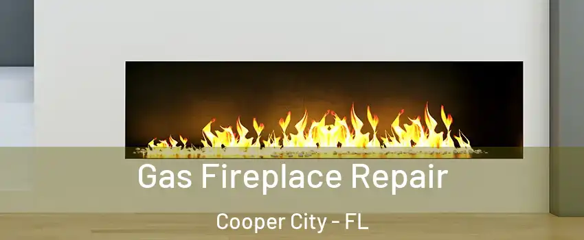  Gas Fireplace Repair Cooper City - FL