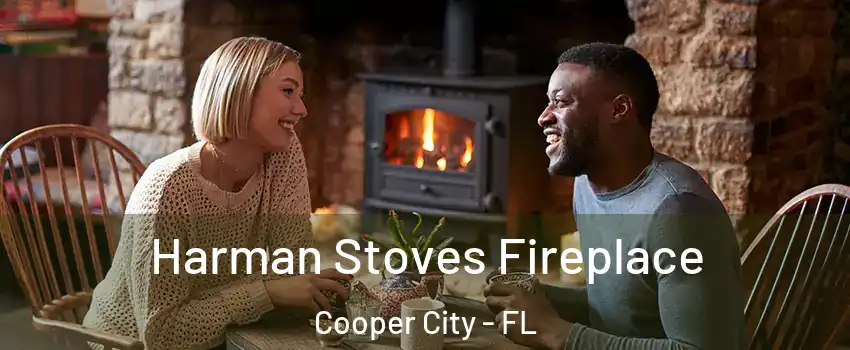  Harman Stoves Fireplace Cooper City - FL