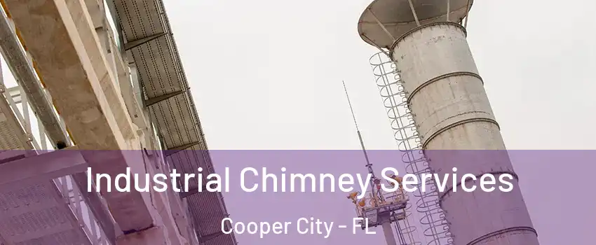  Industrial Chimney Services Cooper City - FL