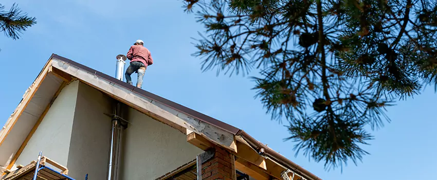 Birds Removal Contractors from Chimney in Cooper City, FL