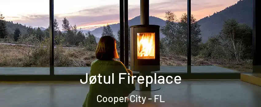  Jøtul Fireplace Cooper City - FL