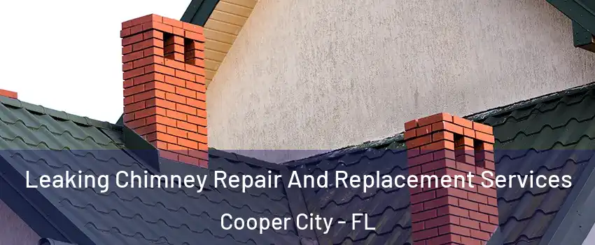  Leaking Chimney Repair And Replacement Services Cooper City - FL