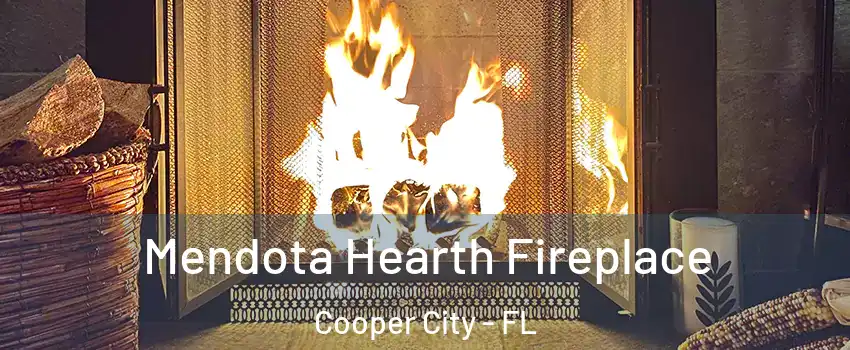 Mendota Hearth Fireplace Cooper City - FL