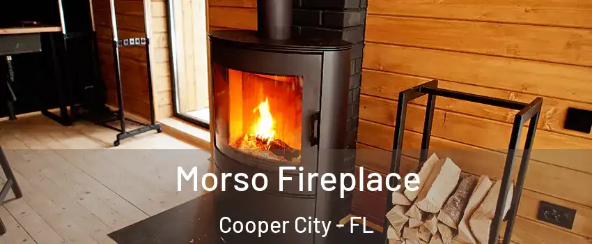  Morso Fireplace Cooper City - FL