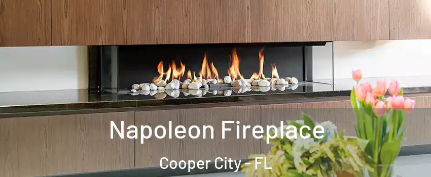  Napoleon Fireplace Cooper City - FL