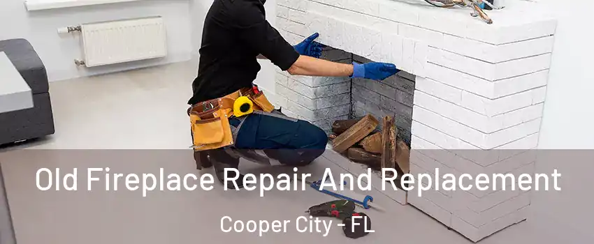  Old Fireplace Repair And Replacement Cooper City - FL