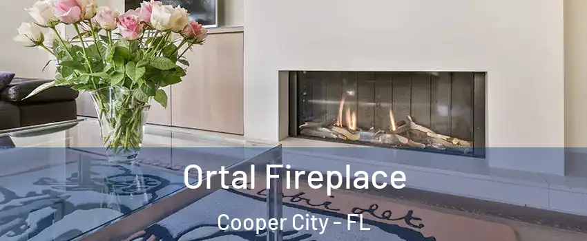  Ortal Fireplace Cooper City - FL