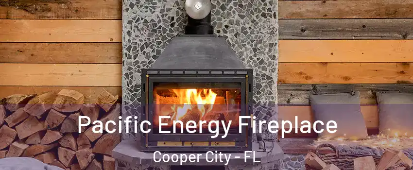  Pacific Energy Fireplace Cooper City - FL