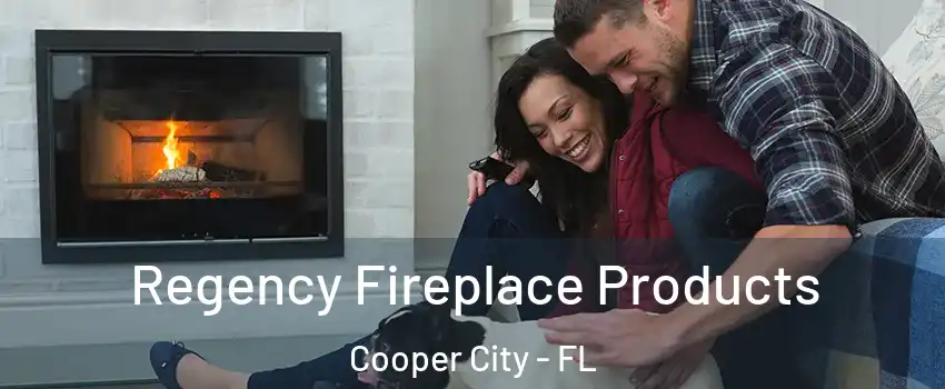  Regency Fireplace Products Cooper City - FL