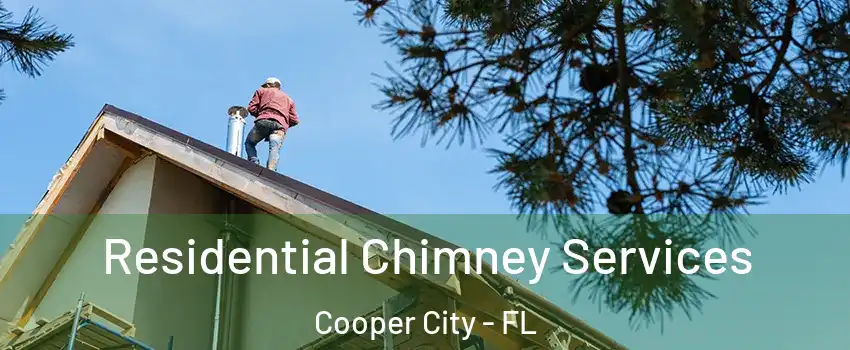  Residential Chimney Services Cooper City - FL