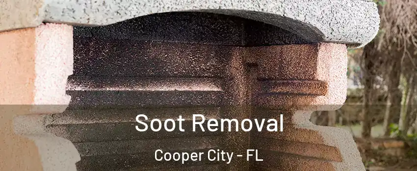  Soot Removal Cooper City - FL