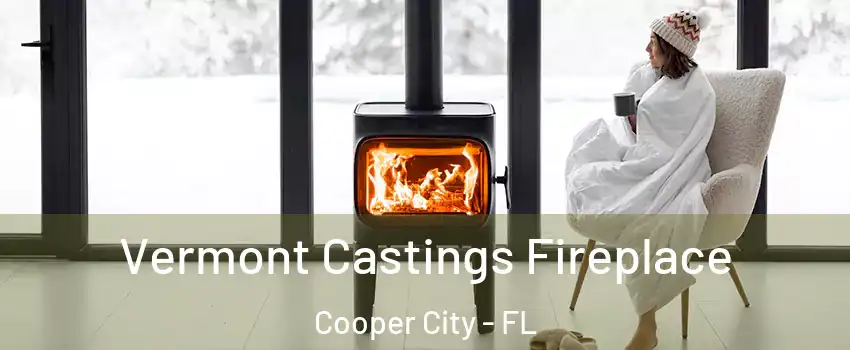  Vermont Castings Fireplace Cooper City - FL