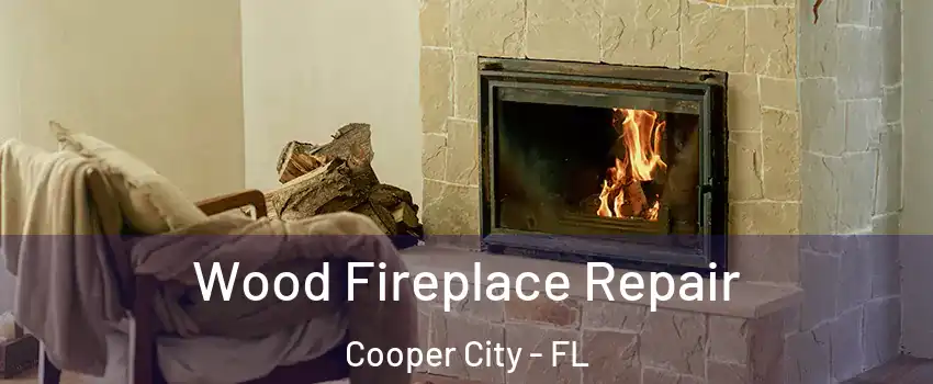  Wood Fireplace Repair Cooper City - FL