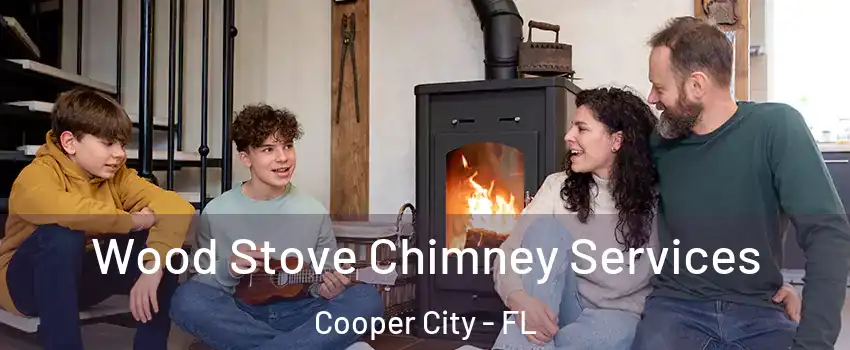  Wood Stove Chimney Services Cooper City - FL