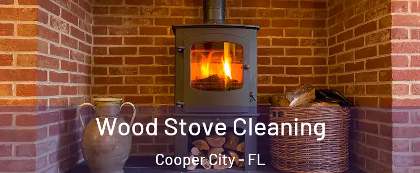 Wood Stove Cleaning Cooper City - FL